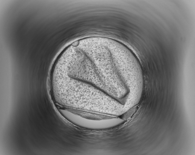 X0000095941531200802081227