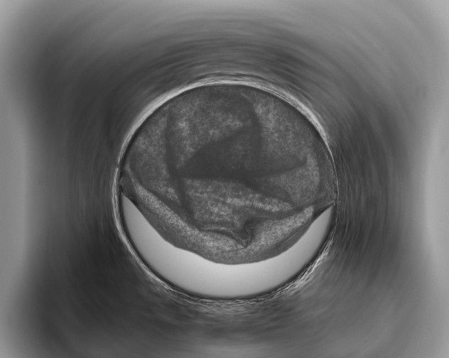 X0000095941533200802081227