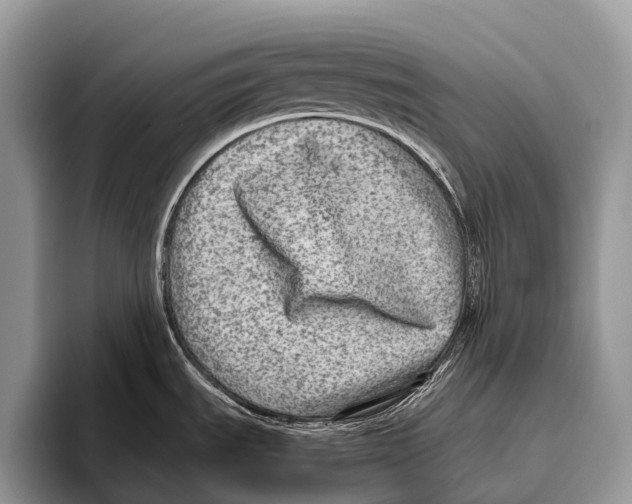 X0000095941535200802081227