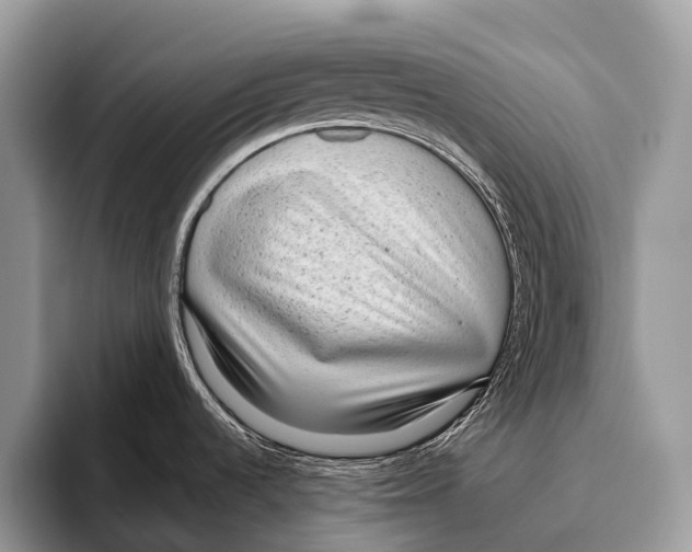 X0000095941536200802081227