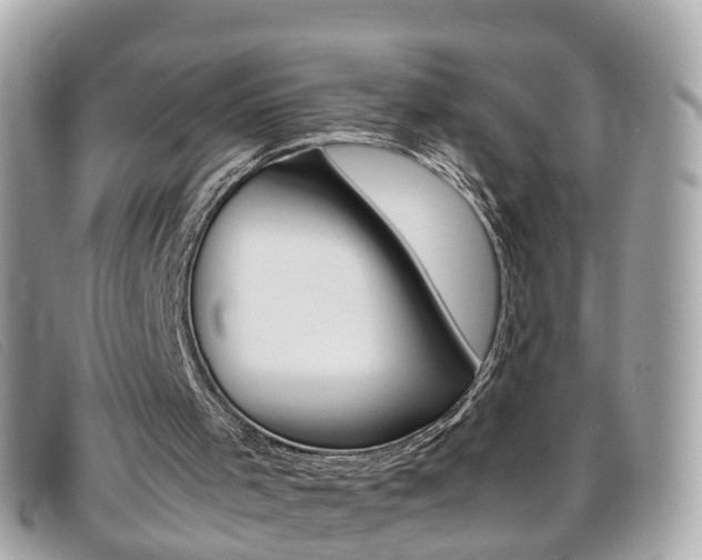 X0000095950001200801110926