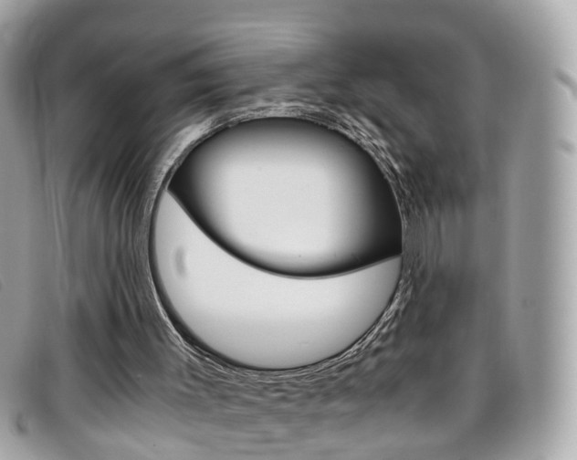 X0000095950003200801110926