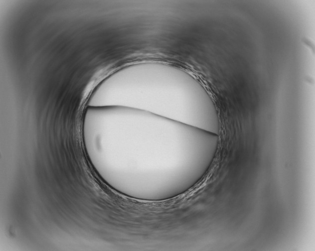 X0000095950004200801110926