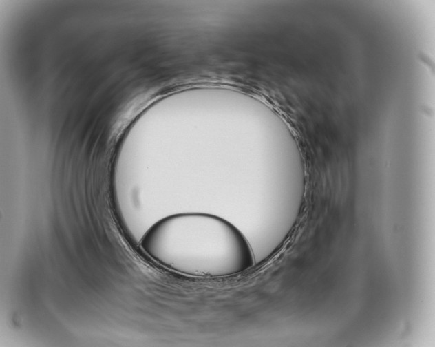 X0000095950005200801110926