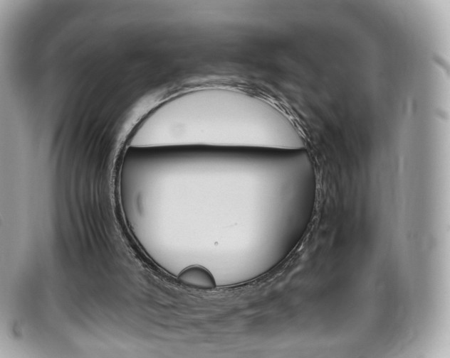 X0000095950006200801110926