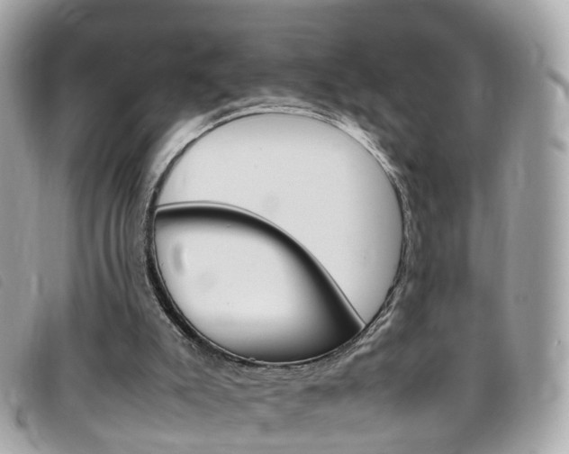 X0000095950007200801110926
