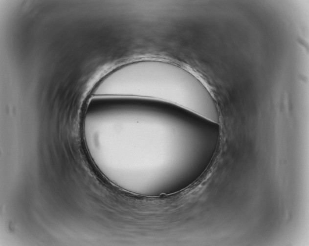 X0000095950008200801110926