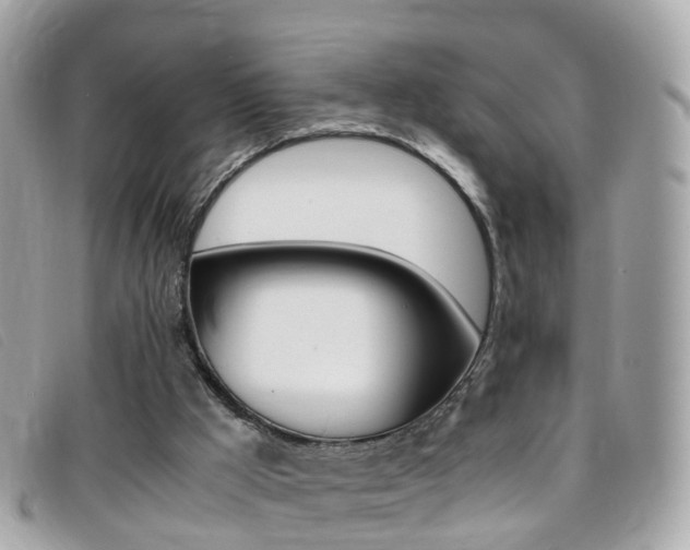 X0000095950009200801110926