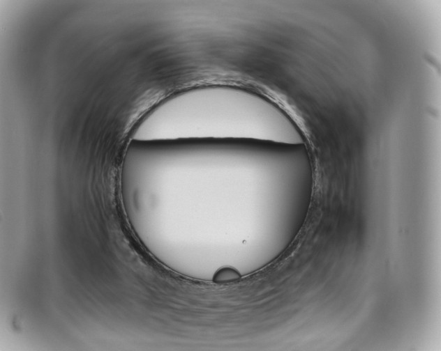 X0000095950010200801110926