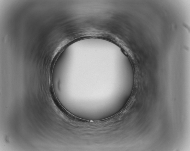 X0000095950011200801110926