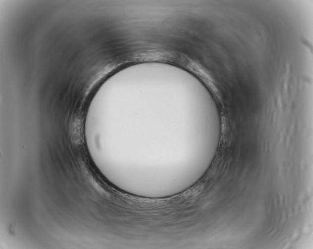 X0000095950012200801110926