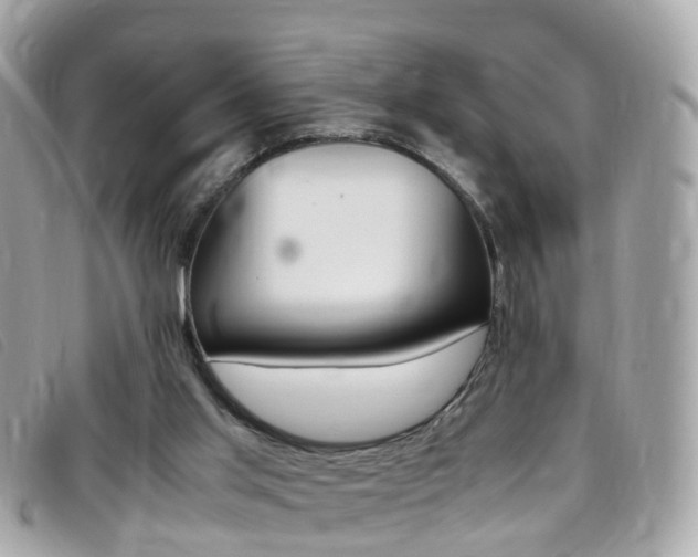 X0000095950013200801110926