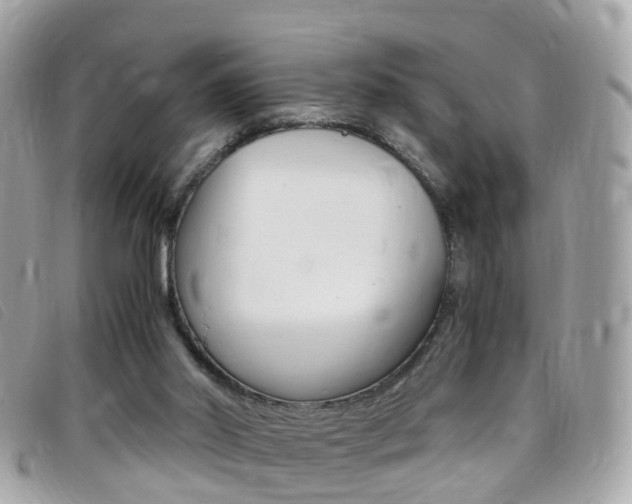 X0000095950014200801110926