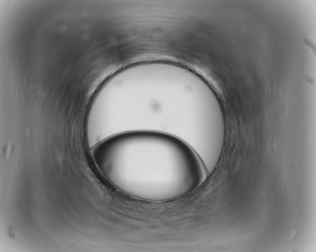 X0000095950015200801110926
