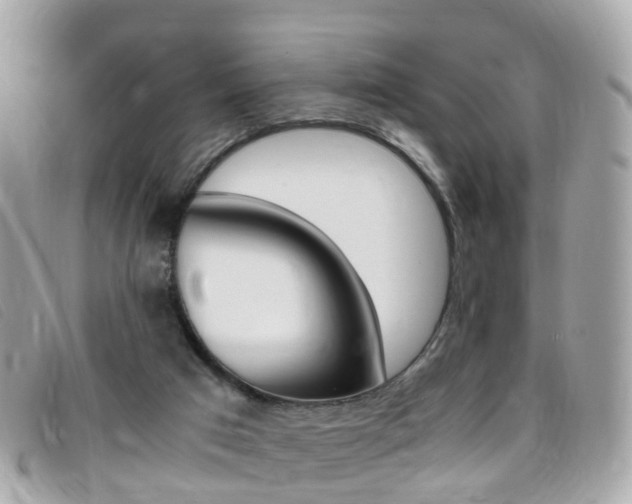 X0000095950017200801110926
