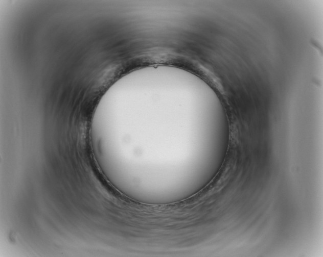 X0000095950018200801110926