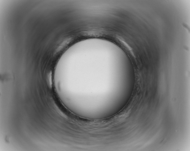 X0000095950020200801110926