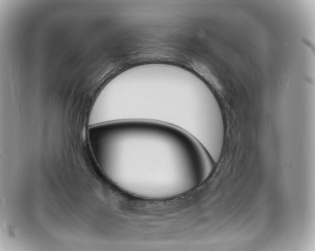 X0000095950021200801110926
