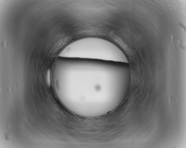 X0000095950022200801110926