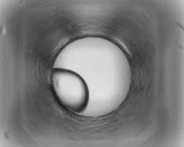 X0000095950023200801110926