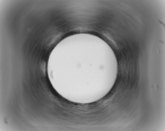 X0000095950024200801110925