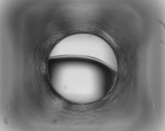 X0000095950025200801110925