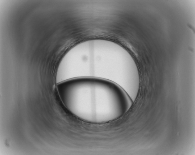 X0000095950027200801110925