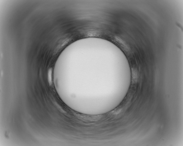 X0000095950028200801110925