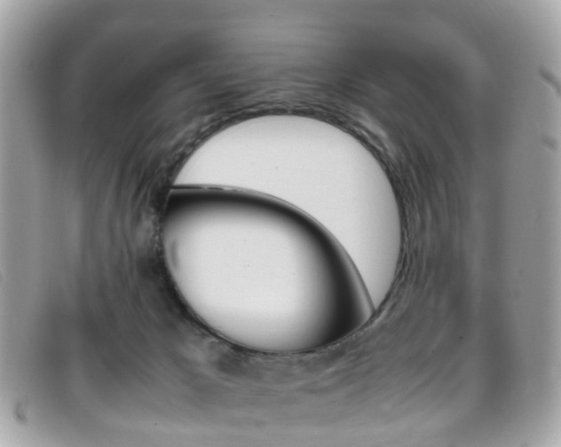 X0000095950029200801110925