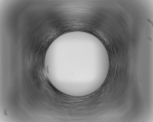X0000095950031200801110925