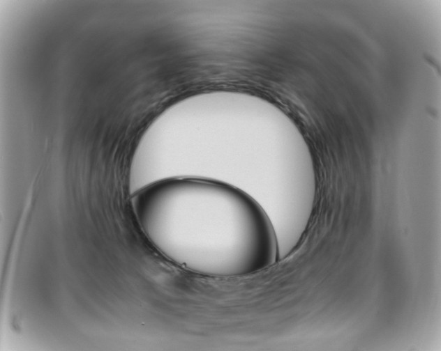 X0000095950033200801110925