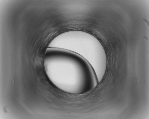 X0000095950035200801110925