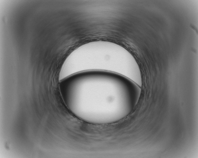 X0000095950037200801110925