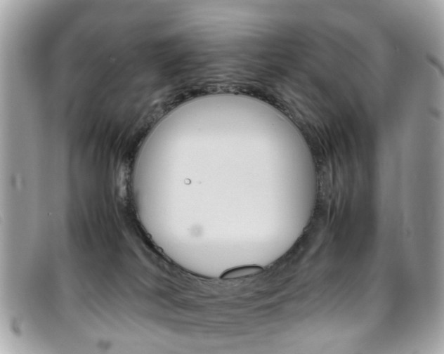 X0000095950038200801110925