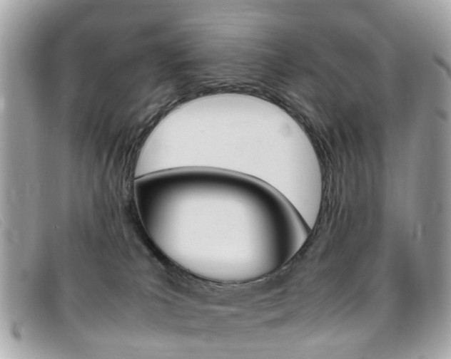 X0000095950039200801110925