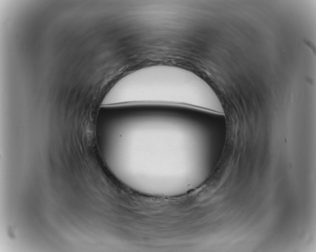 X0000095950040200801110925