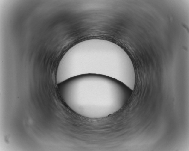 X0000095950042200801110925