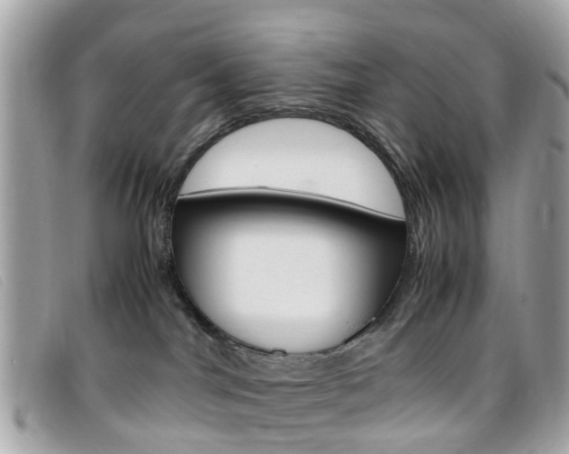 X0000095950044200801110925