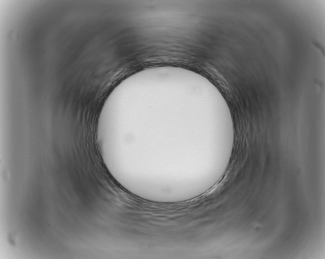 X0000095950045200801110925