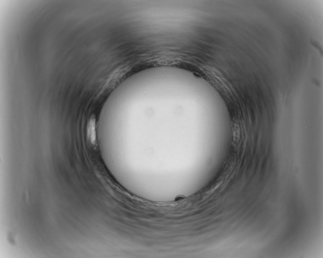 X0000095950046200801110925