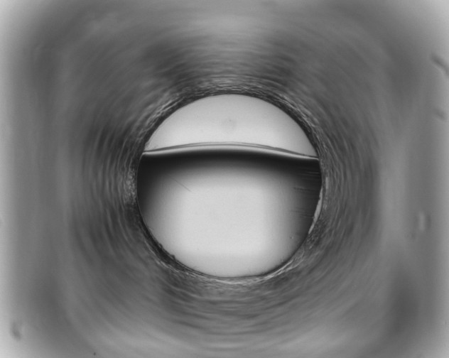 X0000095950048200801110925