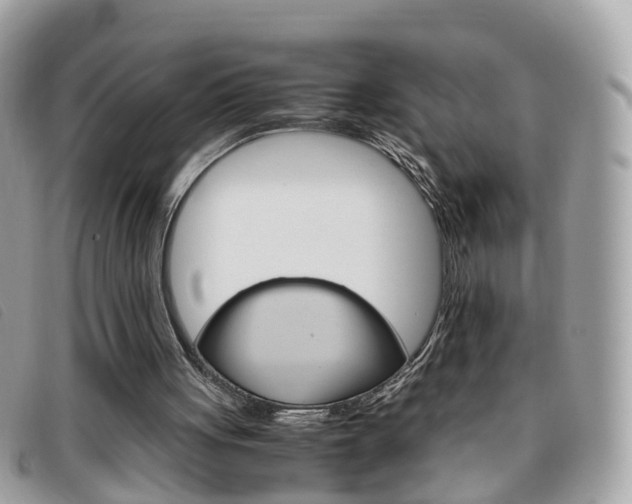 X0000095950051200801110925