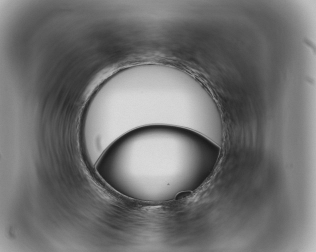 X0000095950054200801110925