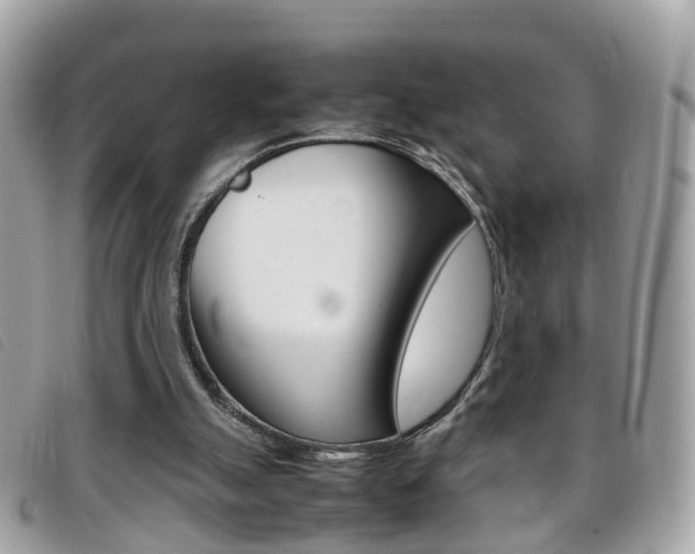 X0000095950055200801110925