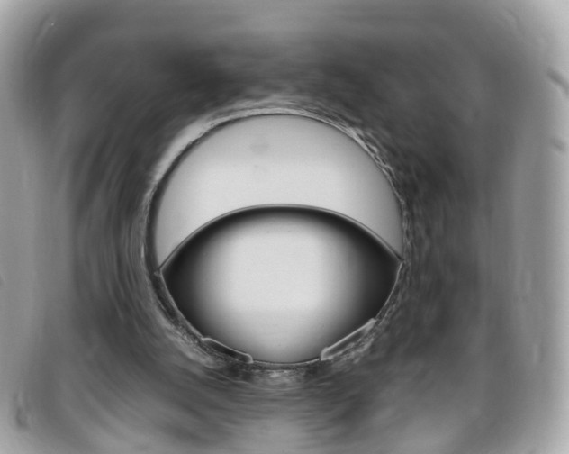 X0000095950056200801110925