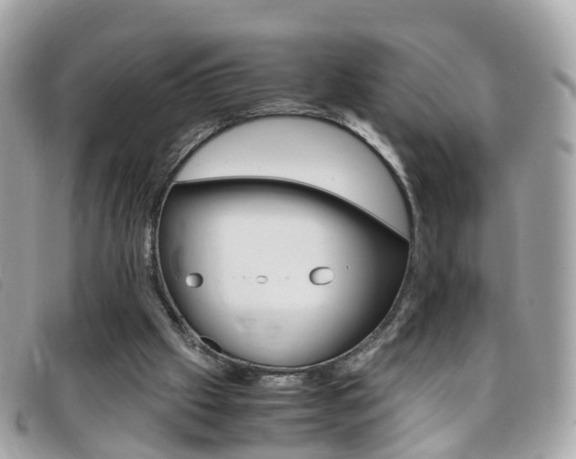 X0000095950057200801110925
