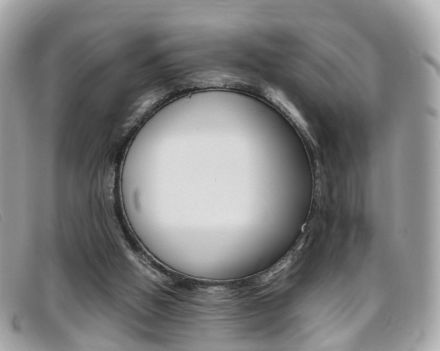 X0000095950058200801110925