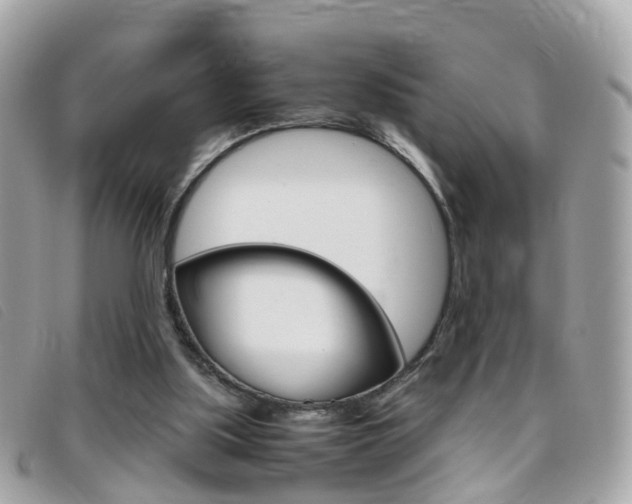 X0000095950059200801110925