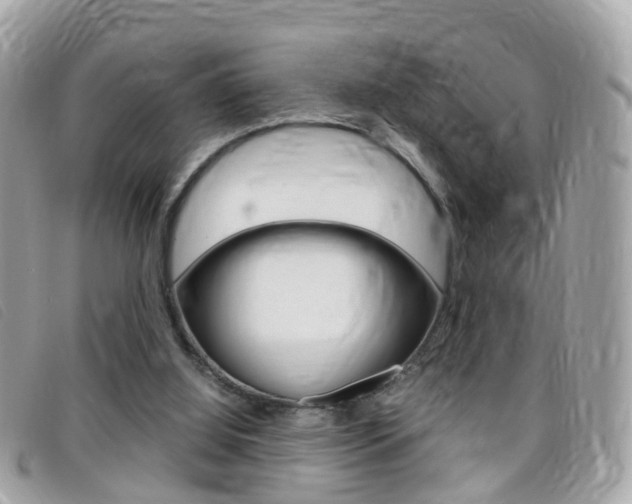 X0000095950060200801110925