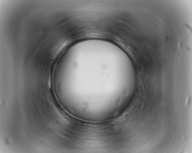 X0000095950062200801110925